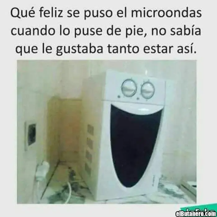 feliz