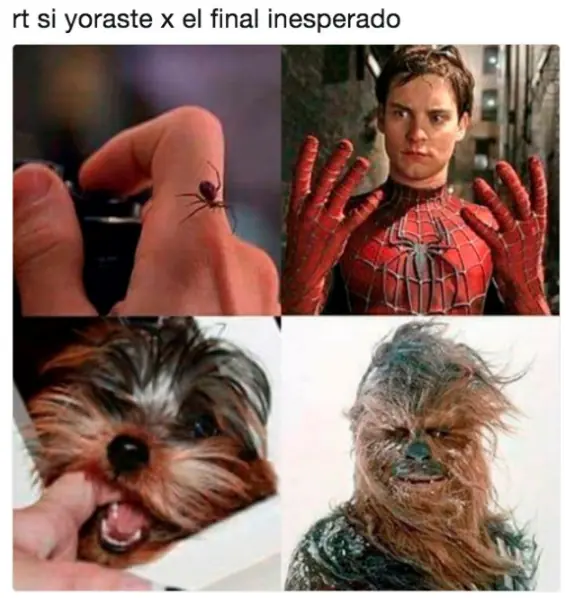 memes