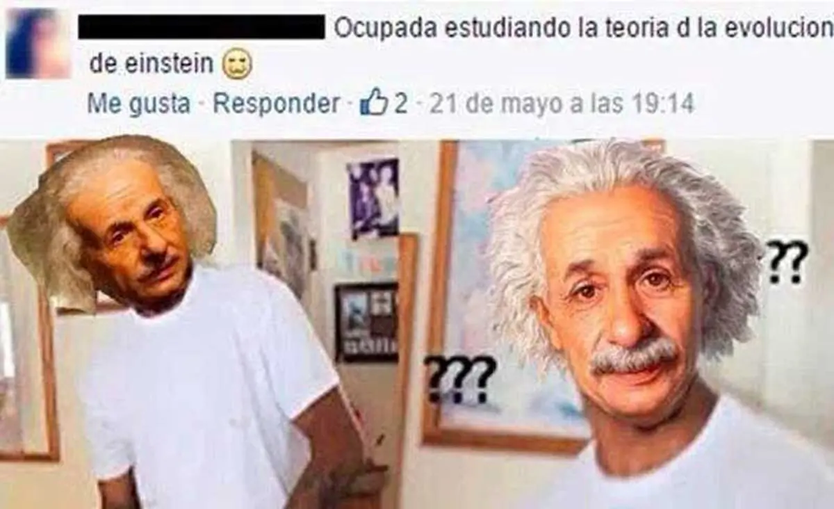 Perder