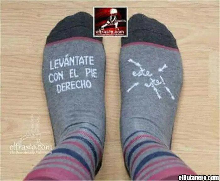 risa