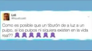 estupidos