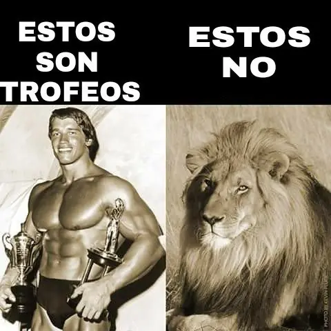 fisicoculturistas