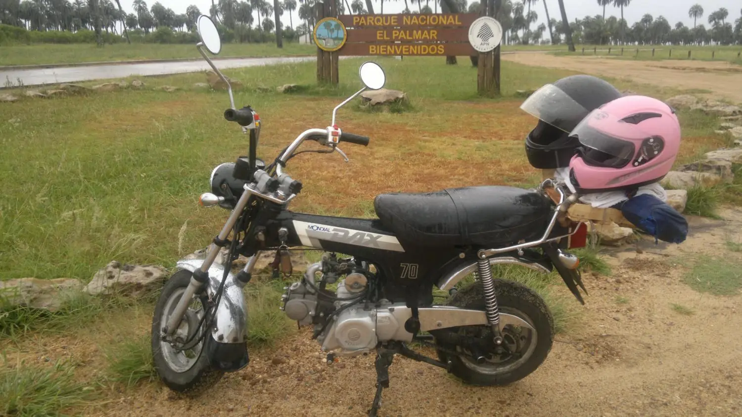 Wave 110cc