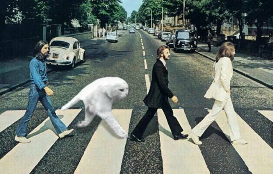 memes