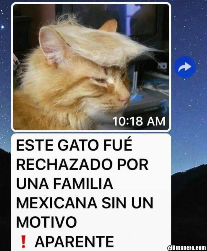 reir