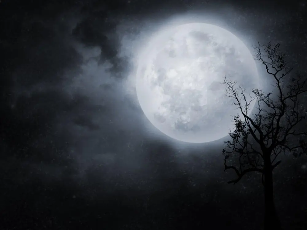 luna