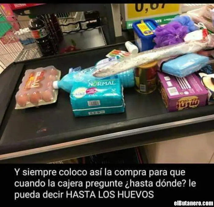 Fin