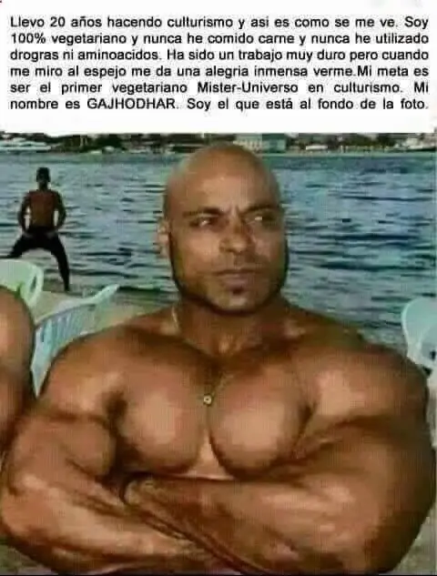 fotos