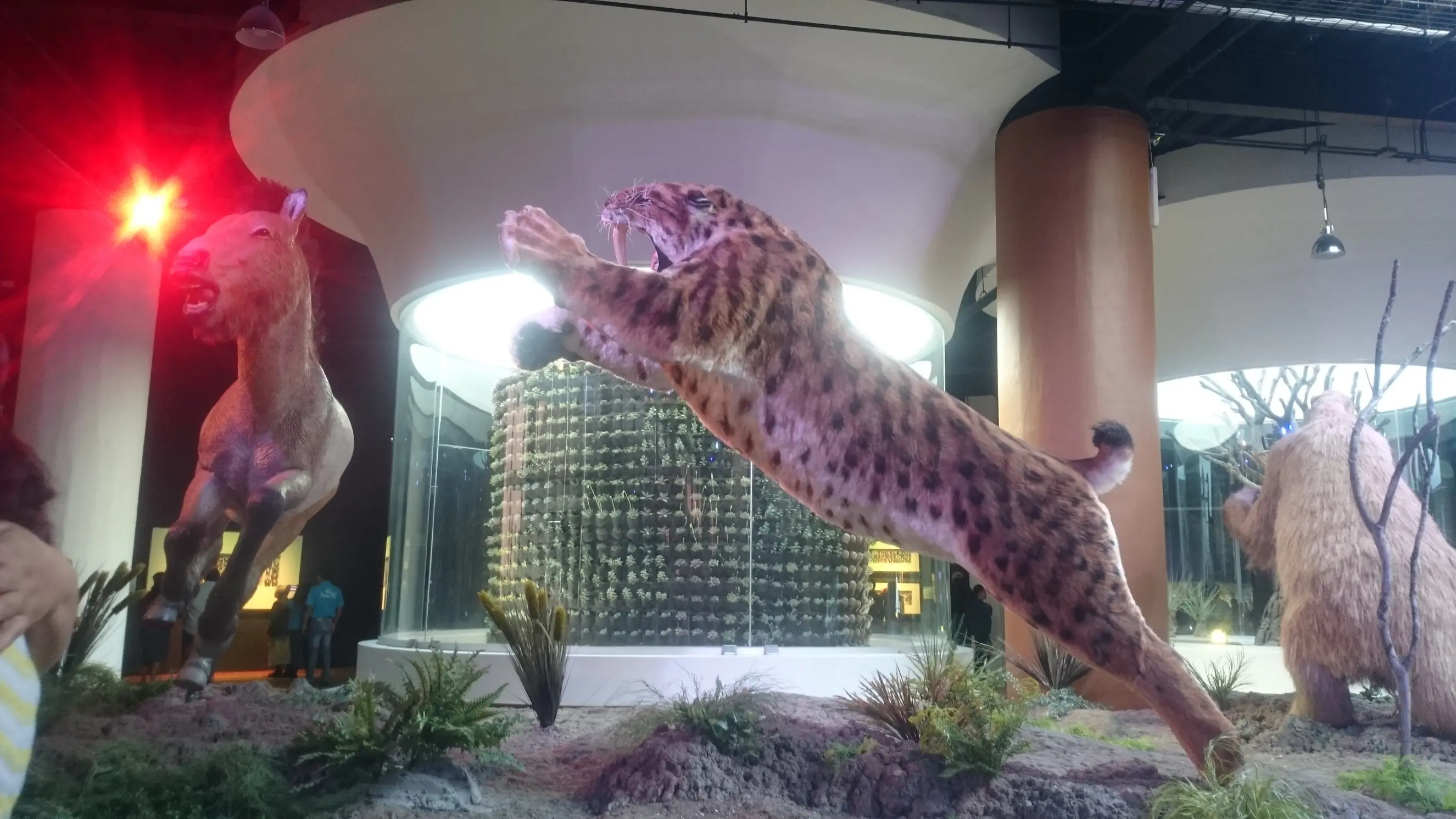 Visite el museo de la Evolución