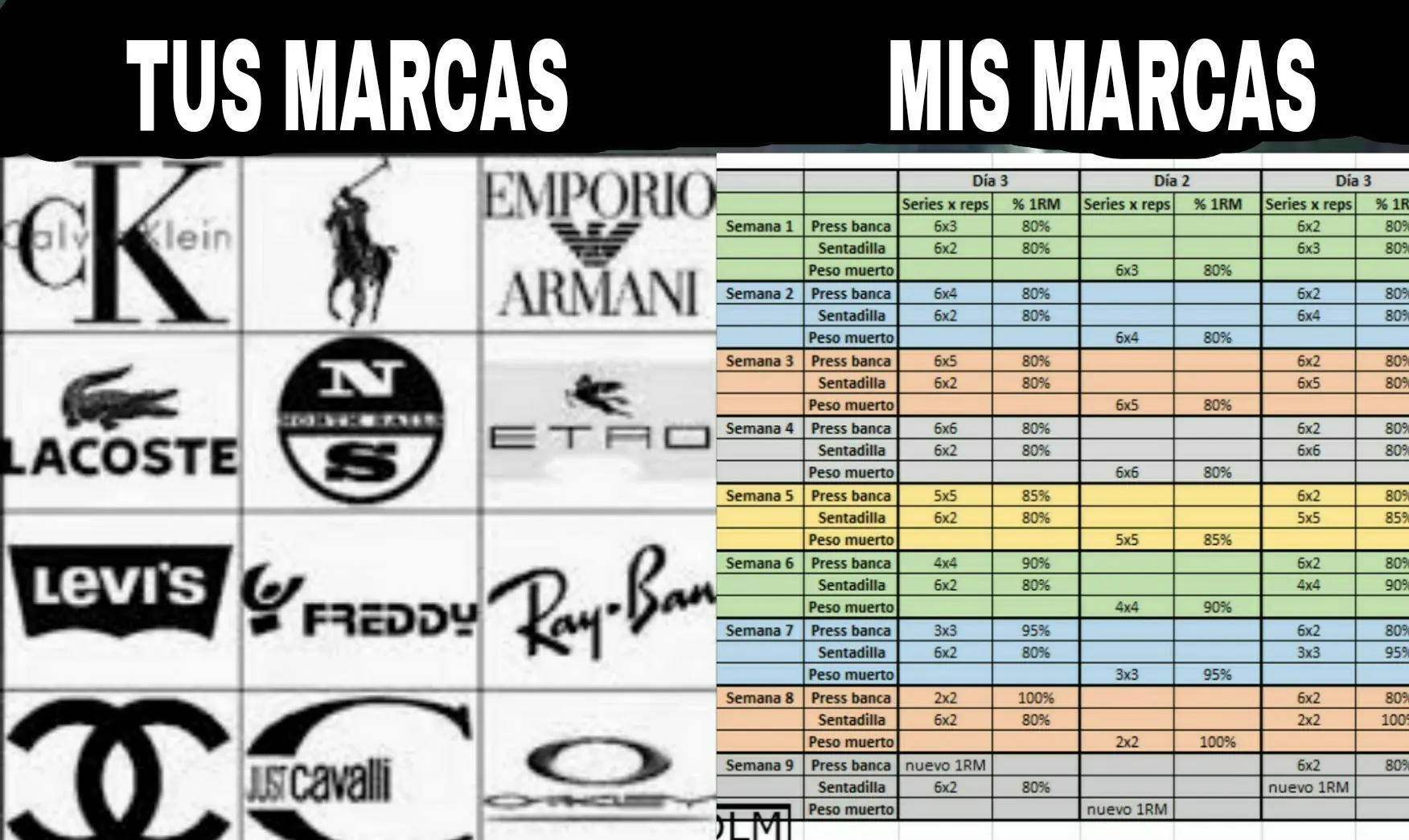 fisicoculturistas
