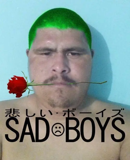 taringa memes