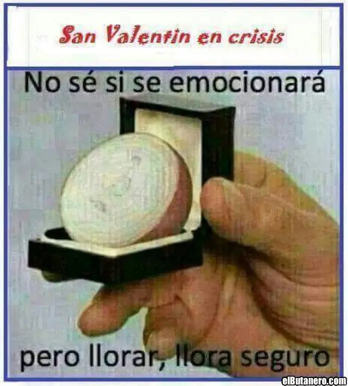 feliz