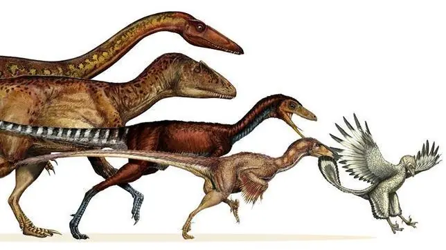 Dinosaurios