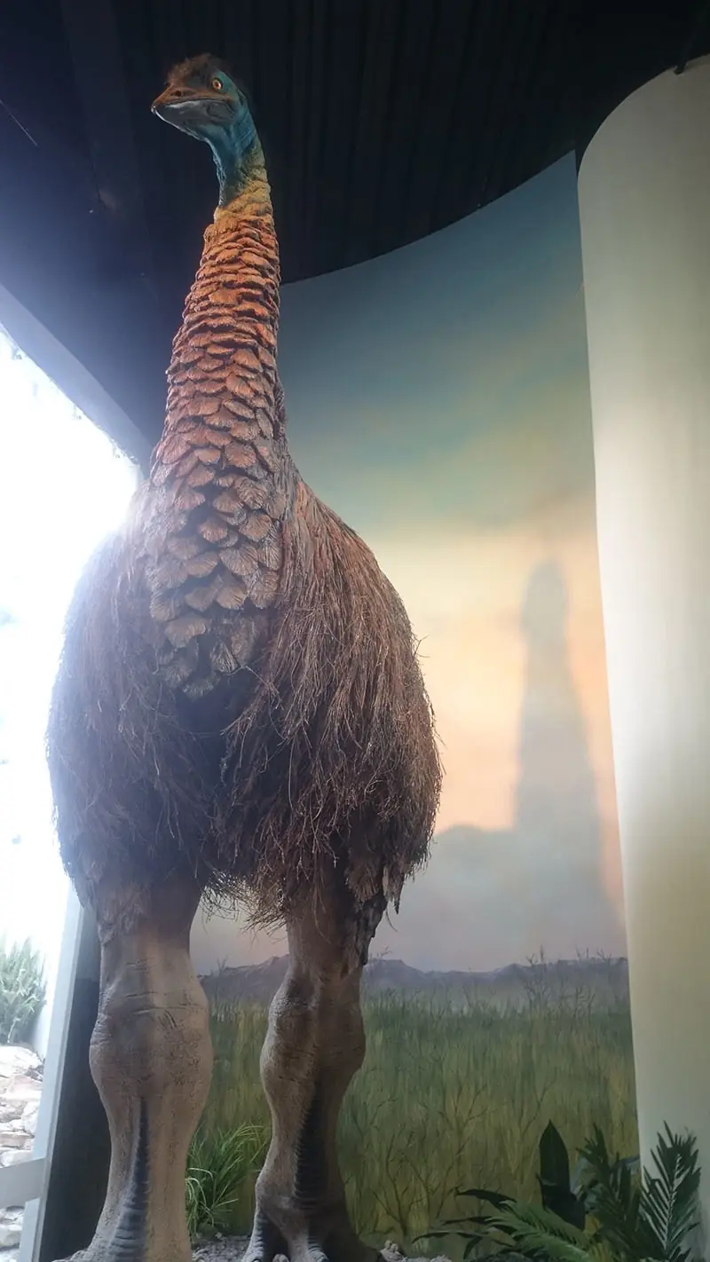 Visite el museo de la Evolución