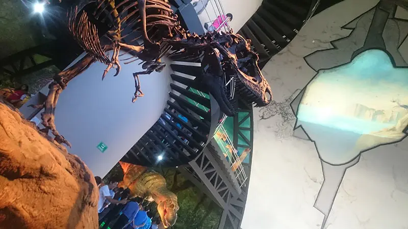 Visite el museo de la Evolución