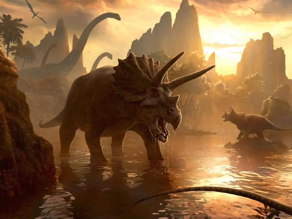 Extincion
