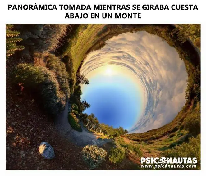 psicodelicas
