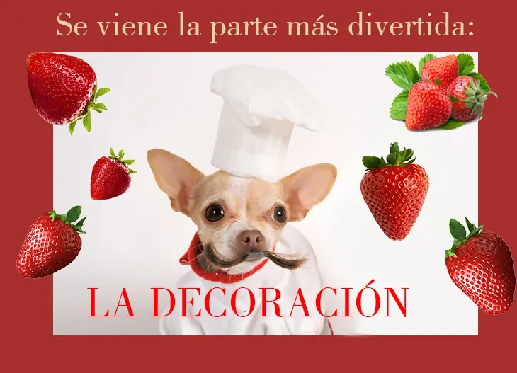 celiacos