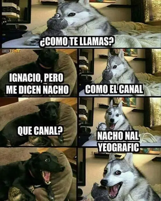 Humor madrugador, mejora tu ánimo y pásate lince!