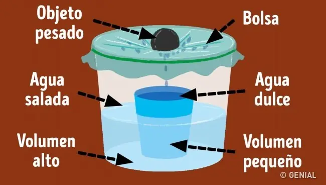14 Trucos que te ayudarán a salvarte de un peligro mortal