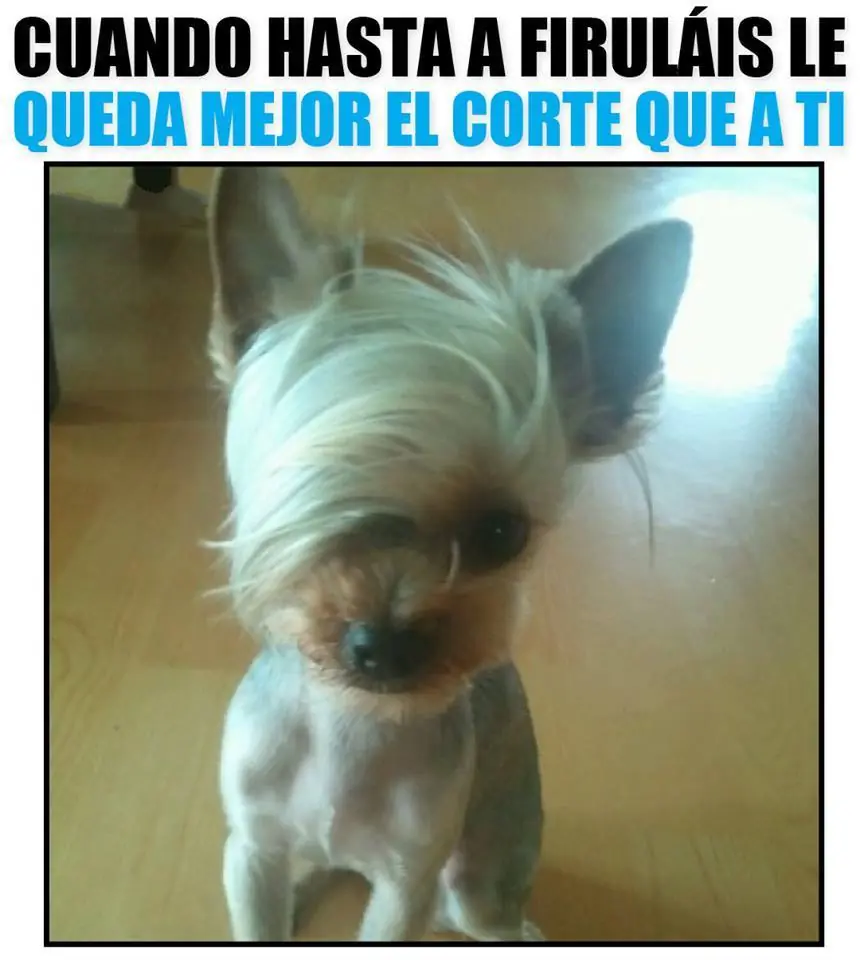 diversion