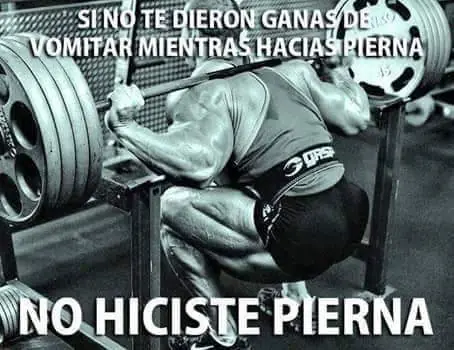culturistas