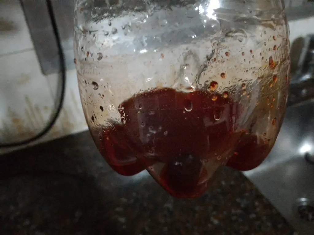 refresco
