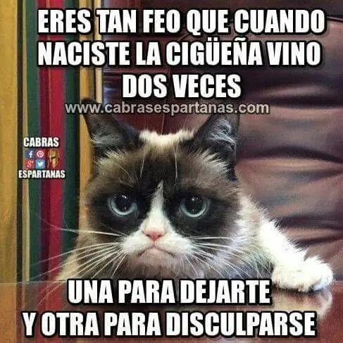 Riete