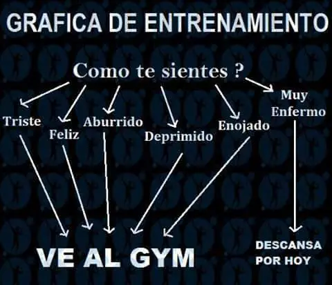 culturistas