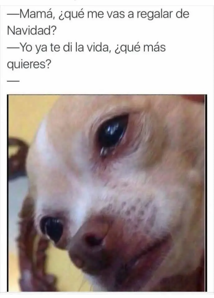 Humor para disfrutar la noche