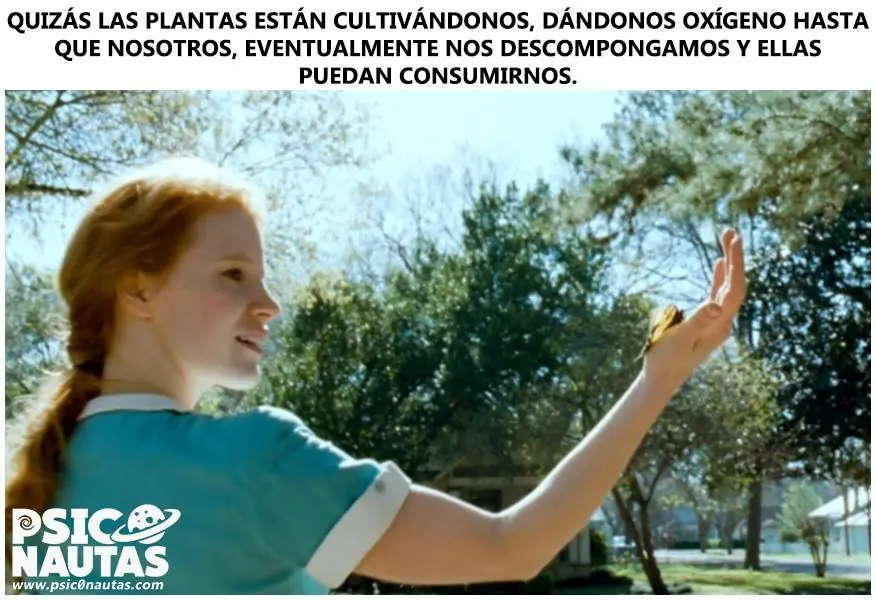 maquinolas