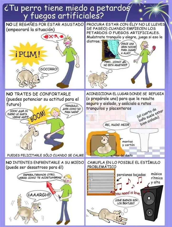 En estas fiestas, no duermas a tu perro, educalo! Muy facil