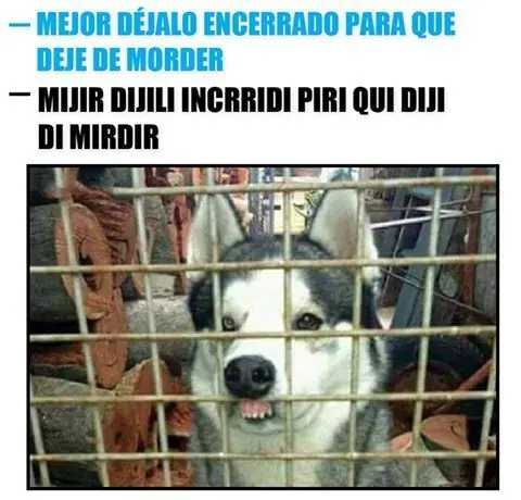 Humor para disfrutar la noche