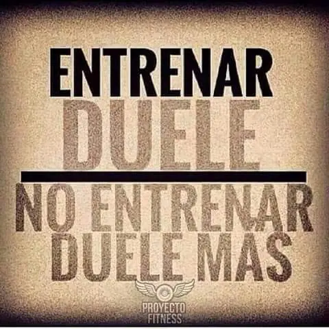 culturistas