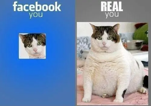 memes