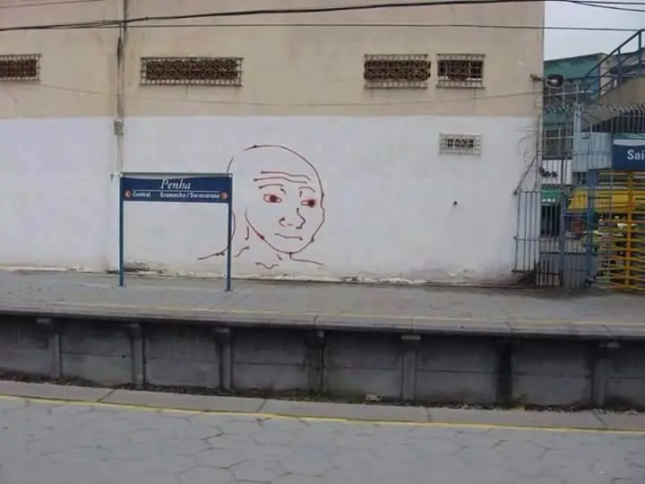 fotos