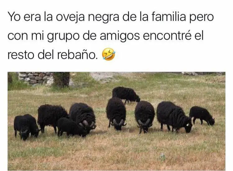 maquinolas