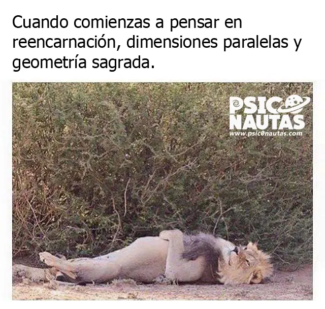maquinolas