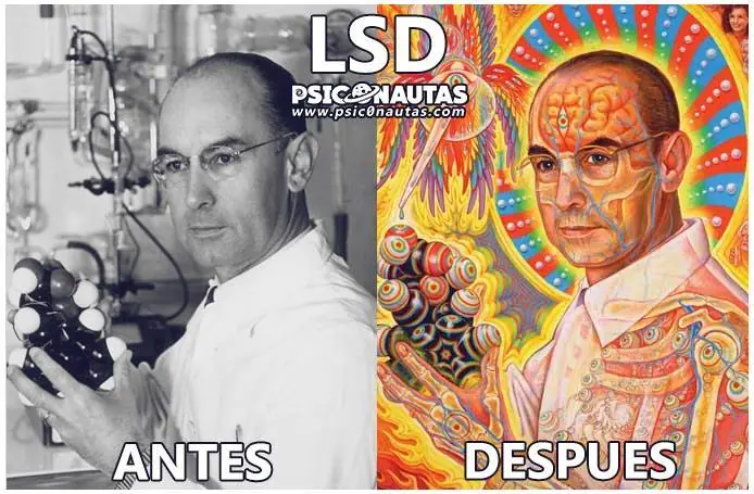 maquinolas