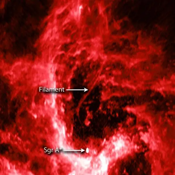 Galaxias