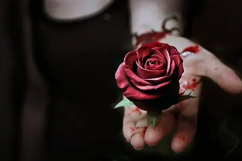 amor
