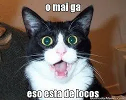 Humor para una noche solitaria, pásate lince!
