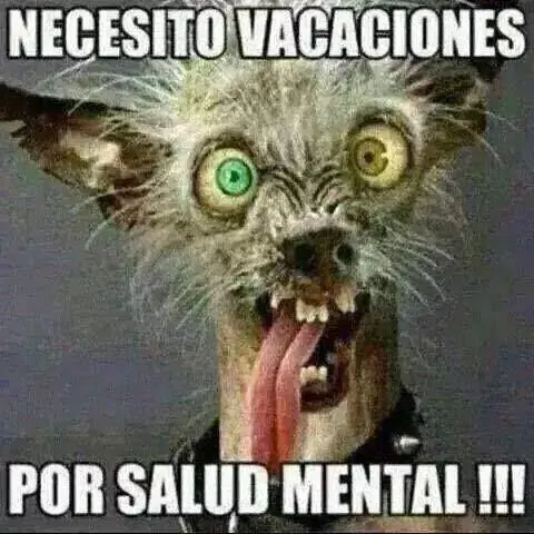 Humor para una noche solitaria, pásate lince!
