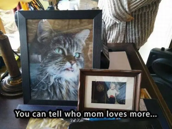 fotos