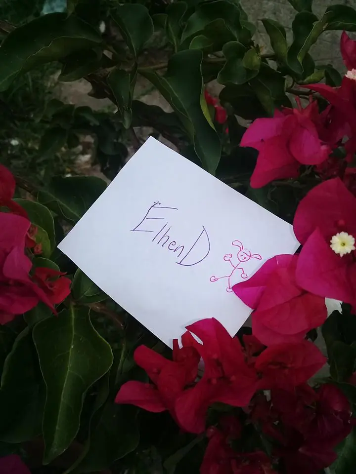 flores
