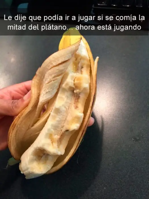 Niños que siguieron órdenes d sus padres al pie de la letra