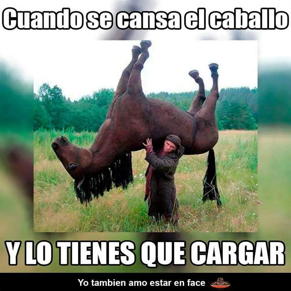 Solitaria