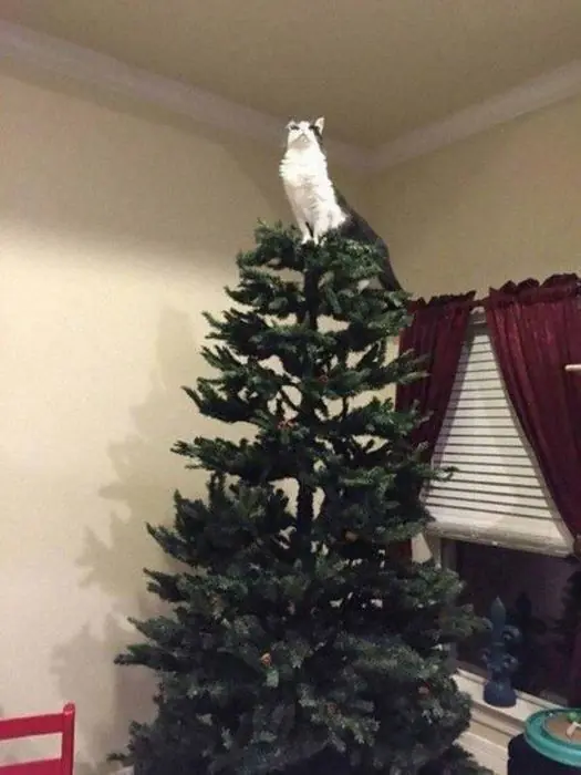 Imagenes de humor navideño