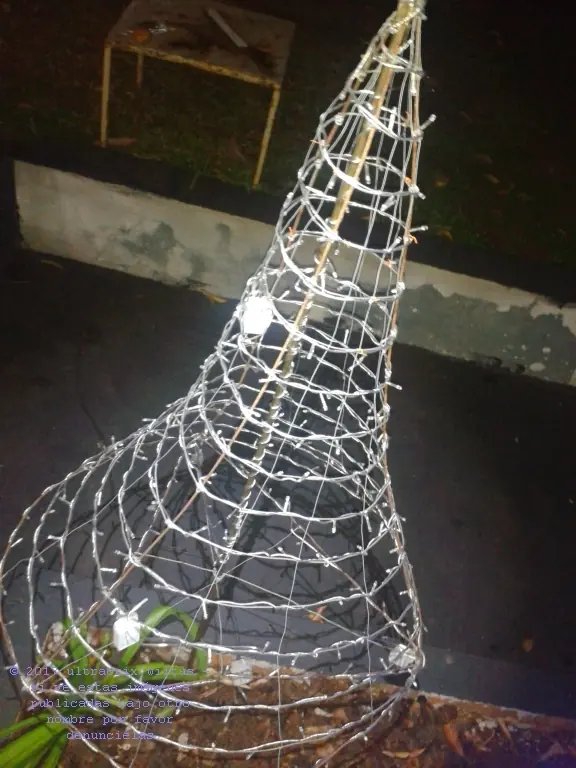 arbolito