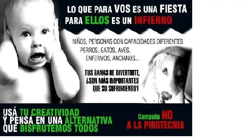 navidad navidad